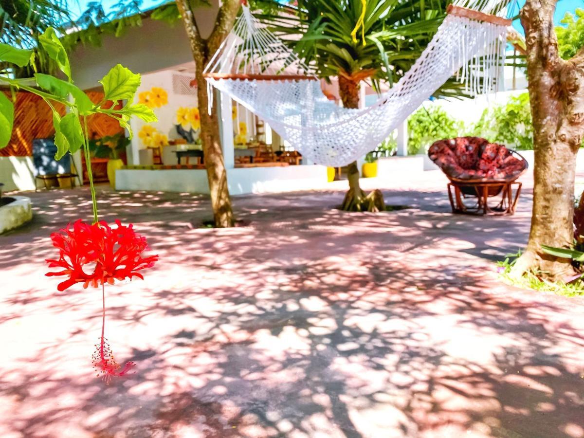 Papaya Guest House 눙귀 외부 사진